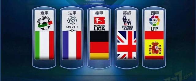 展示了他们 展示了他们