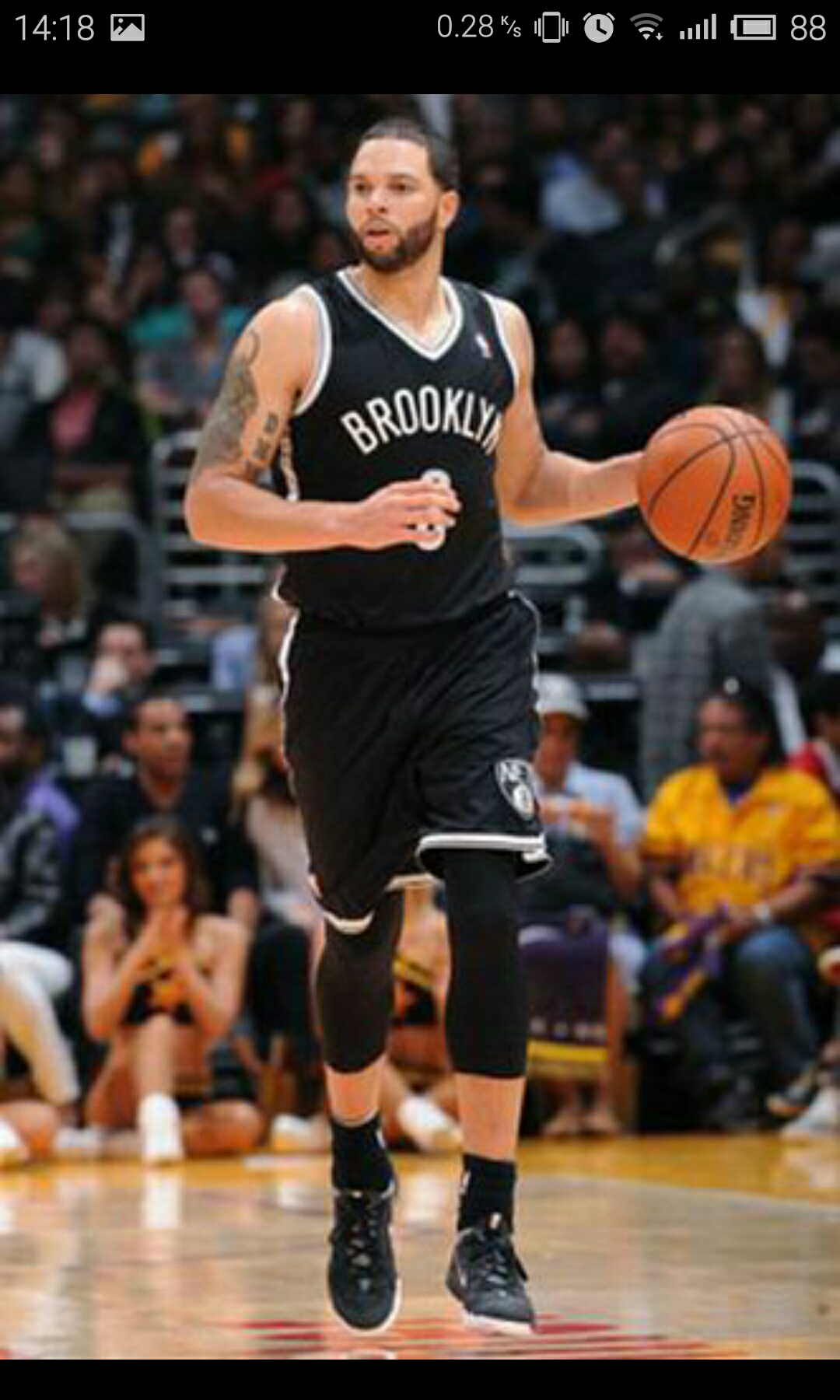 以更具观赏 以更具观赏