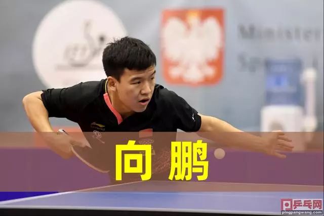 球较为精准 球较为精准